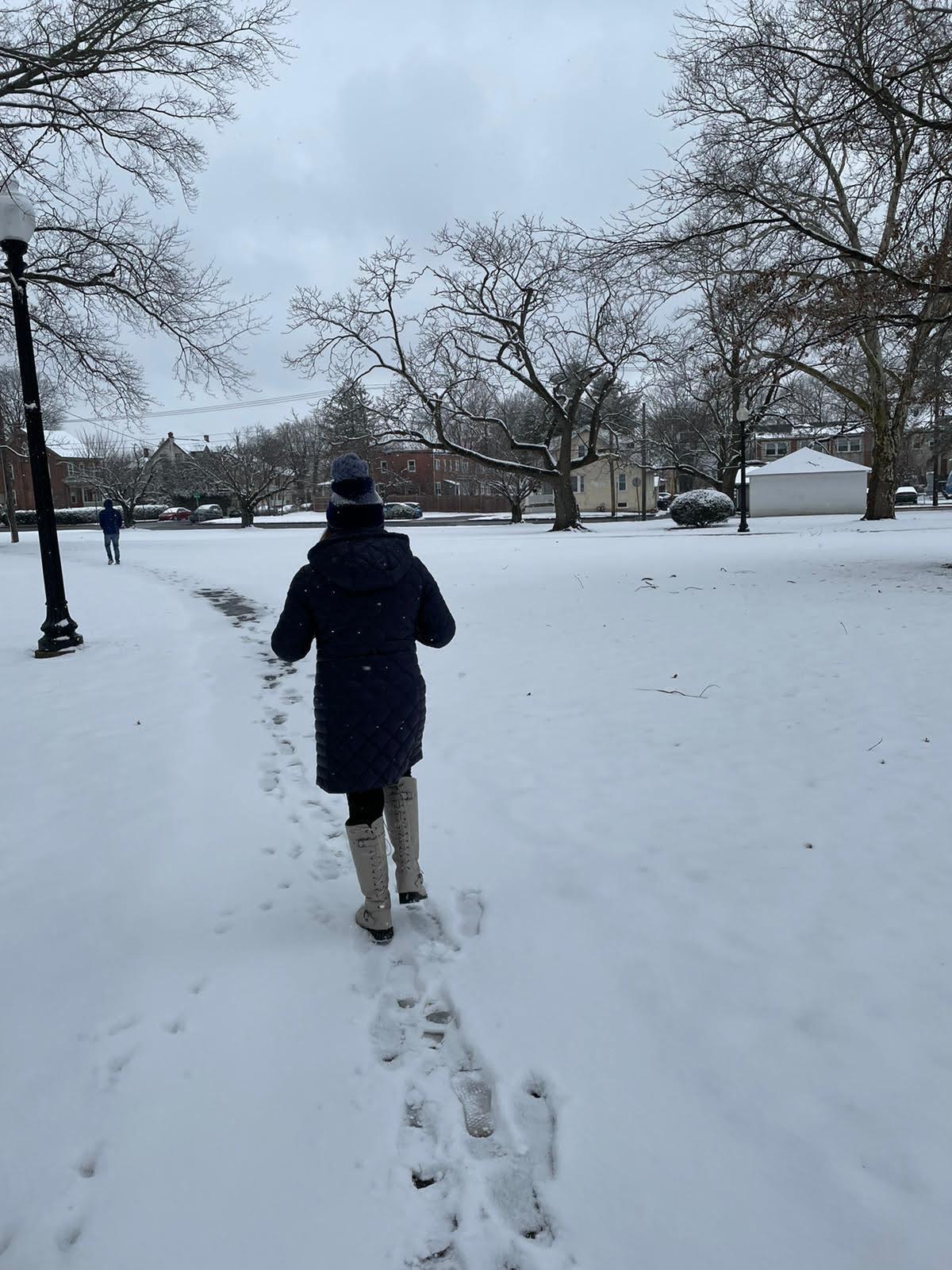 A person walking in the snow

Description automatically generated